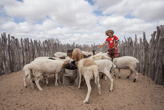 Projeto do Governo da Bahia para o desenvolvimento rural é classificado como o melhor do mundo