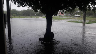 Chuvas na região enchem lagoas na zona rural e causam transtorno nas cidades 
