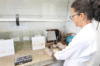 Pela primeira vez, DPT vai realizar teste rápido para identificar drogas sintéticas durante o Carnaval