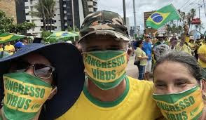 Fica em casa, quadrúpede (Por Fernanda Villa)