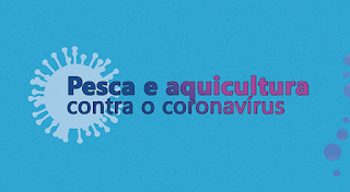 Pescadores devem seguir recomendações de segurança contra Covid-19