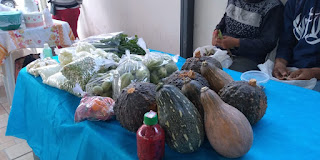 Tecnologias sociais de acesso à água garantem segurança alimentar e renda para agricultores familiares