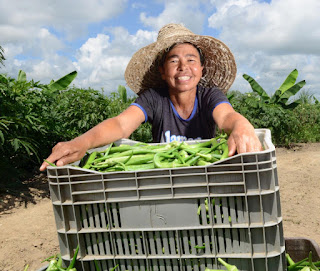 Articulação do Governo garante inclusão de mais 39.182 mil famílias de agricultores no Garantia Safra 2018/2019
