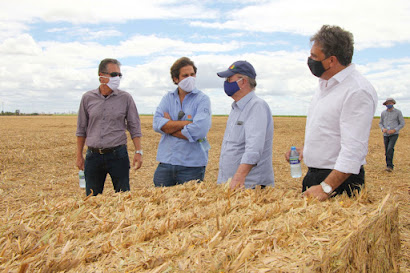 Com 17,7 mil hectares cultivados, Agrovale é inspiração para Polo Agroindustrial do São Francisco