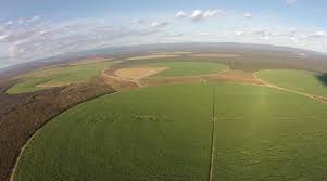 Polo Agroindustrial e Bioenergético busca integração para desenvolver Médio São Francisco baiano