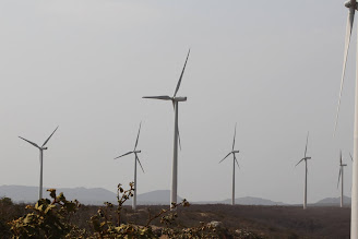 Liderado pela Bahia, Nordeste bate recorde na geração de energia eólica